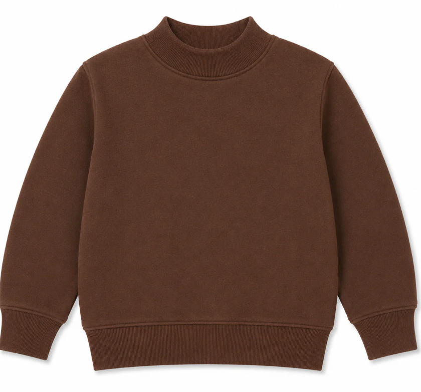 Premium Kids Mock Neck Sweatshirt | PRE-ORDER
